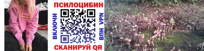 Купить  Сосенский  Галлюциногенные грибы MAGIC MUSHROOMS 